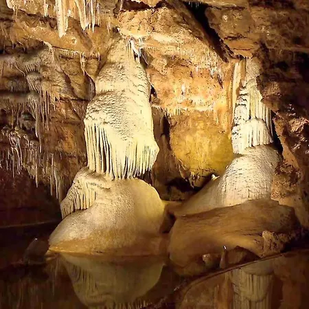 Hébergement de vacances La Maison Au Perroquet Village Typique En Pierre *