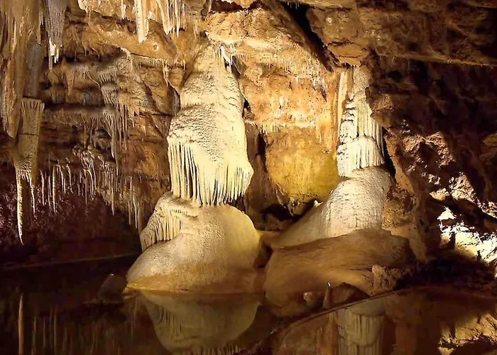 Semesterbostad The Parrot House *