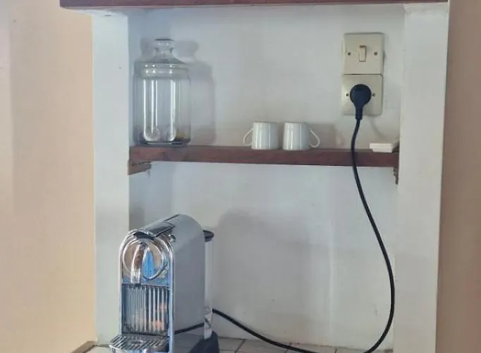 Semesterbostad The Parrot House *