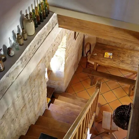 The Parrot House Semesterbostad