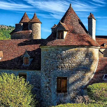 The Parrot House