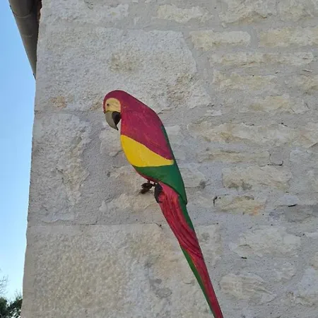 Tatil Evi The Parrot House Floirac (Lot)