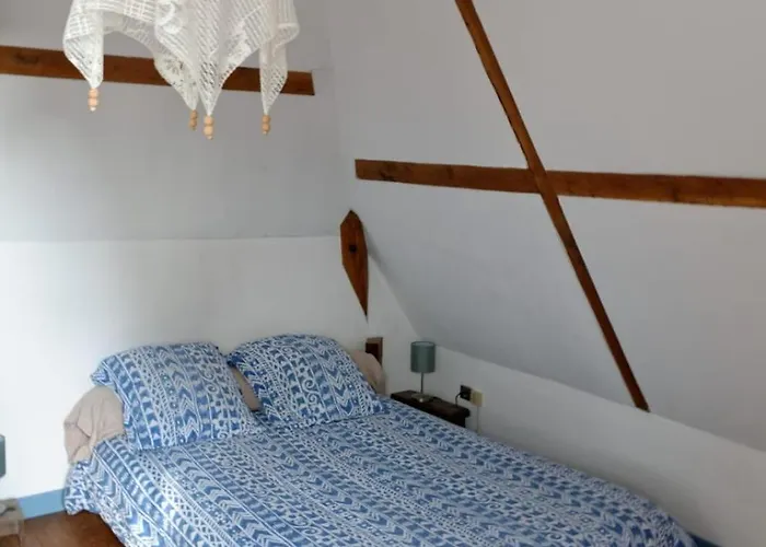 Tatil Evi The Parrot House Floirac (Lot)