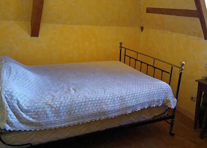 The Parrot House Tatil Evi